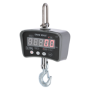 Peson Numérique DigiScale 1000 - Capacité 500 g