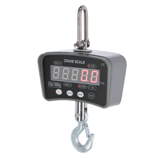 Peson Numérique DigiScale 1000 - Capacité 500 g