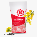 Colza hybride - LG Armada