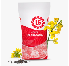 Colza hybride - LG Armada