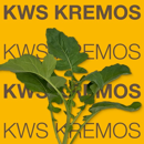 Colza hybride - KWS Kremos