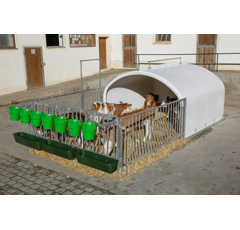 Niche à veau Premium XXL avec enclos