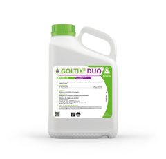 GOLTIX DUO