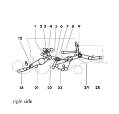 Courroie trapézoïdale pour moissonneuse batteuse CLAAS 0006033801 adaptable
