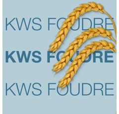 Blé tendre d'hiver - KWS Foudre