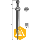 Dent de herse au bore 190 mm collet ovale - adaptable - Blacksteel©