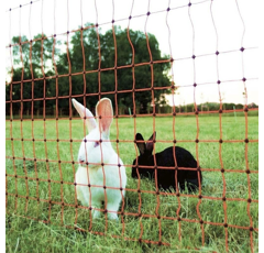 Euro-Netz Ernteschutz 65/2 - 50 m - mit Doppelspitze