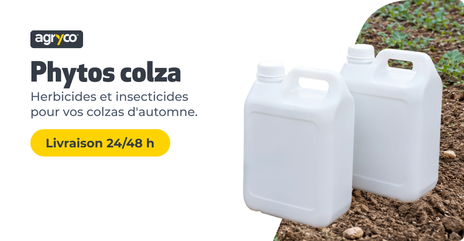 AGRYCO_PHYTO_colzas_211026