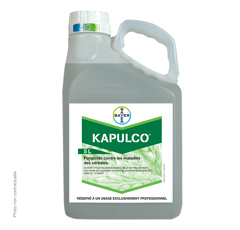 KAPULCO