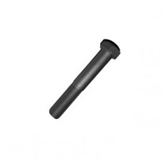 Sicherheitsschraube 16X100 MASTER