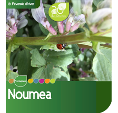 Féverole d'hiver - Noumea - BIO