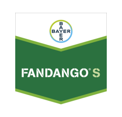 FANDANGO S | Fongicide Systémique