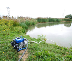 Motopompe eaux claires 12m3/h - 1,35 CV - RENSON