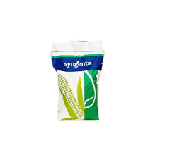 Maíz doble aptitud FAO 400 - SY Parago