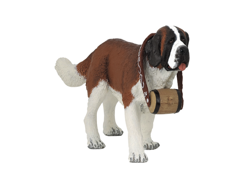 Chien : Le Saint-Bernard de Flo