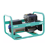 Groupe électrogène de chantier monophasé à essence EXPERT 7510 X AVR - 7,5 KW | IMER