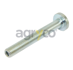 Boulon special pour téléscopique MERLO 36480 adaptable