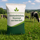 Grünlandmischung Neuansaat von Hans Koch