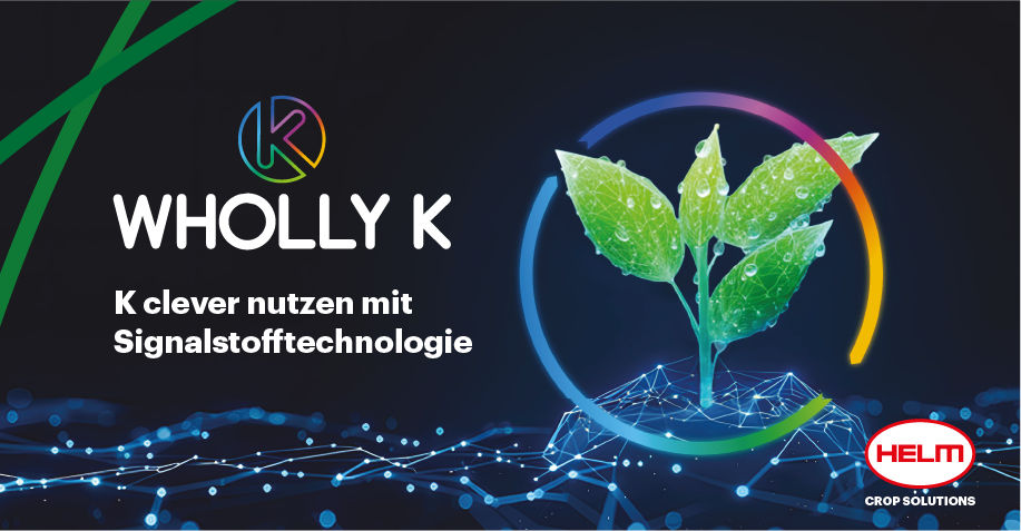 Filterkartusche 30 Mikron - RENSON (L/min : 65)