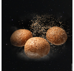 Blé tendre d'hiver - KWS Constellum - BIO