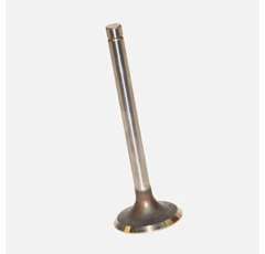 Ventileinlass Ø 44-5,9 mm Traktor ZETOR 69010555 - PE69010555 Nachbau