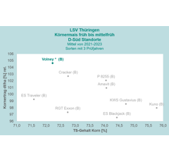Saatmais - Volney (S250 K250) DSV