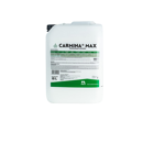 CARMINA MAX