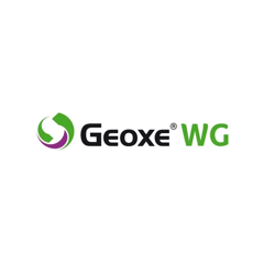 Geoxe WG