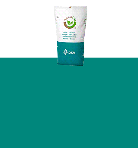 202605_DSV_BRANDSTORE_FULLSITE