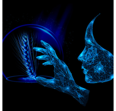 Orge d'hiver fourragère - KWS Innovatris