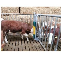 Brosse à ressort avec cadre de protection pour taureaux | PATURA