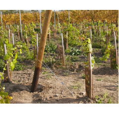 Kit d'haubanage 3 mm - GRIPPLE