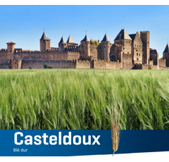Blé dur - Casteldoux
