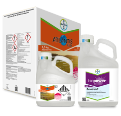 Atlantis Flex | Herbizid