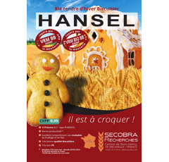 Blé tendre d'hiver - Hansel
