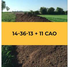 Compost enrichi 14-36-13 + 11 CaO