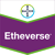 Etheverse