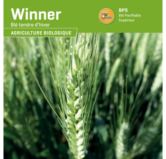 Blé tendre d'hiver - Winner - BIO
