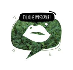 Luzerne flamande - RGT Cybelle