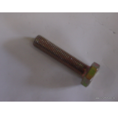 Schraube verzinkt 961/10x1,25x45 