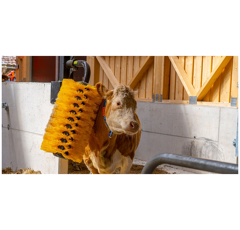 Brosse pivotante Maxi pour vaches et taureaux | PATURA