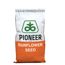 Tournesol oléique précoce - P63HE143 - SX