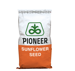 Tournesol linoléique très précoce - P62LL109 - Tournesol 100 jours