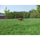 Euro-Netz für Pferde 120/2 30,5m