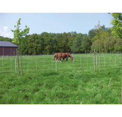 Euro-Netz für Pferde 120/2 30,5m