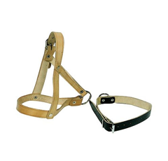 Halsriemen für Schafe und Böcke aus Leder