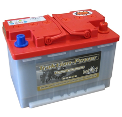 Batterie 12 V 55 AH 12TP55 Intact-Traktion