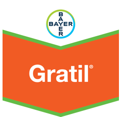 GRATIL