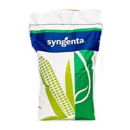 Saatmais - SA 1362 (SY Sheriff) (S240 K410) | SYNGENTA