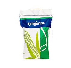 Saatmais - SA 1362 (SY Sheriff) (S240 K410) | SYNGENTA